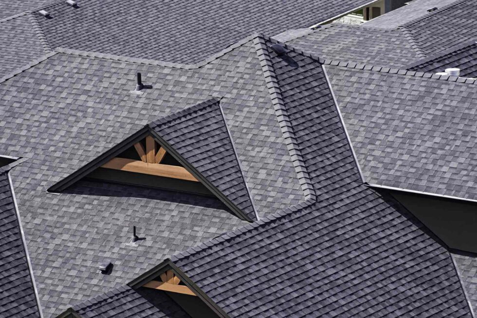 shingle-roof-980x653